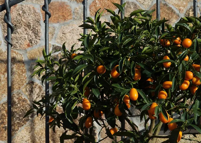 Arathena 4* San Pantaleo